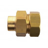 Manchon laiton femelle D22x3/4 - F/C 340GCU D155095