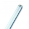 Radium 31110328 Lampe fluorescente standard NL-T5 8W/640/G5