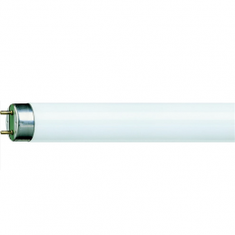 Radium Tube Fluorescent T8...