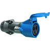 Fiche Hypra femelle - 2P+T - 52082