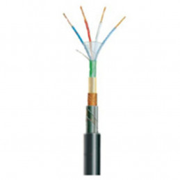 CABLE TELEREPORT ARME 2P06