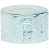 Bouchon femelle galva - Dimension 15x21 - 300-4V