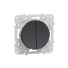 DOUBLE POUSSOIR ANTHRACITE - S540216